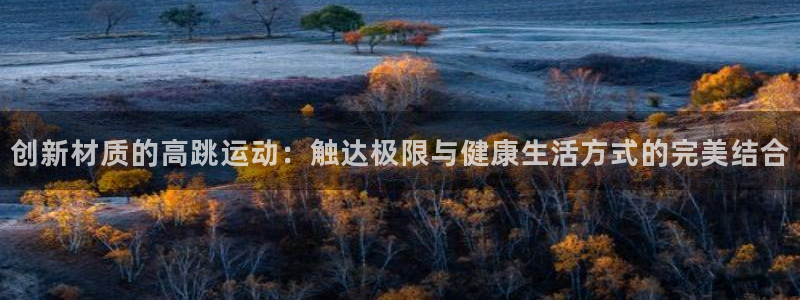 九游体育官方正版app代理:创新材质的高跳运动:触达极限与健