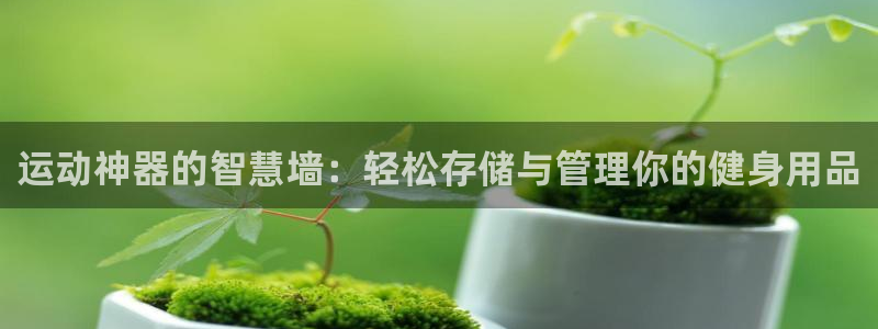 九游体育官方正版app集团E.ON:运动神器的智慧墙:轻松存