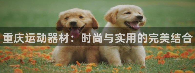 九游体育官网下载招商电话:重庆运动器材:时尚与实用的完美结合