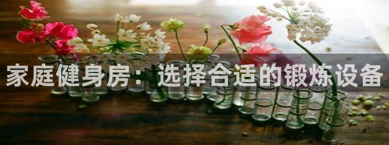 九游体育官网下载平台注册要钱吗安全吗:家庭健身房:选择合适的